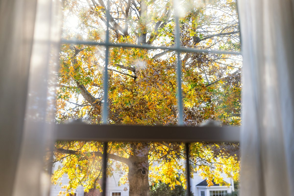Invita l'autunno a casa tua, come decorare le finestre
