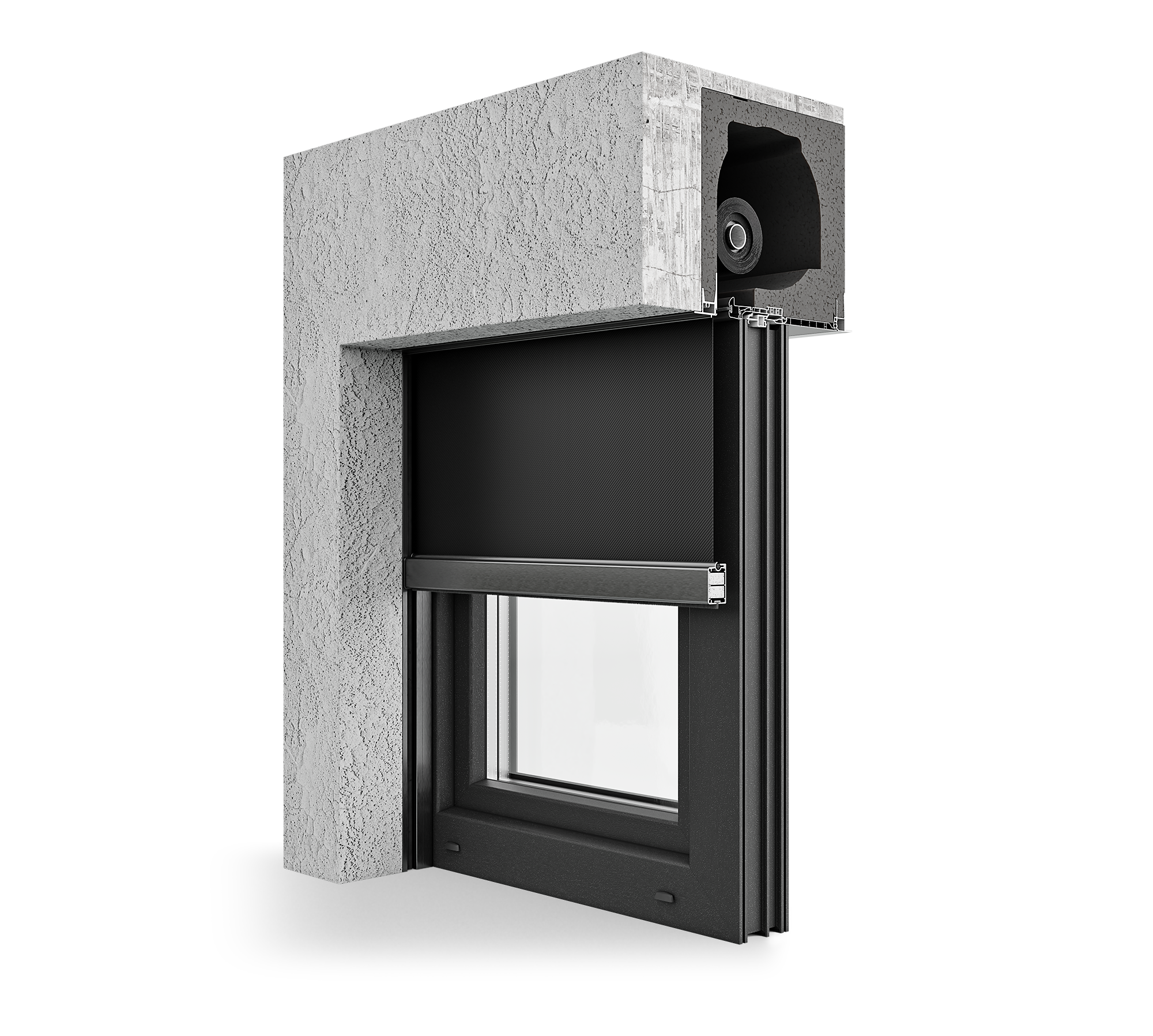 Screen XT