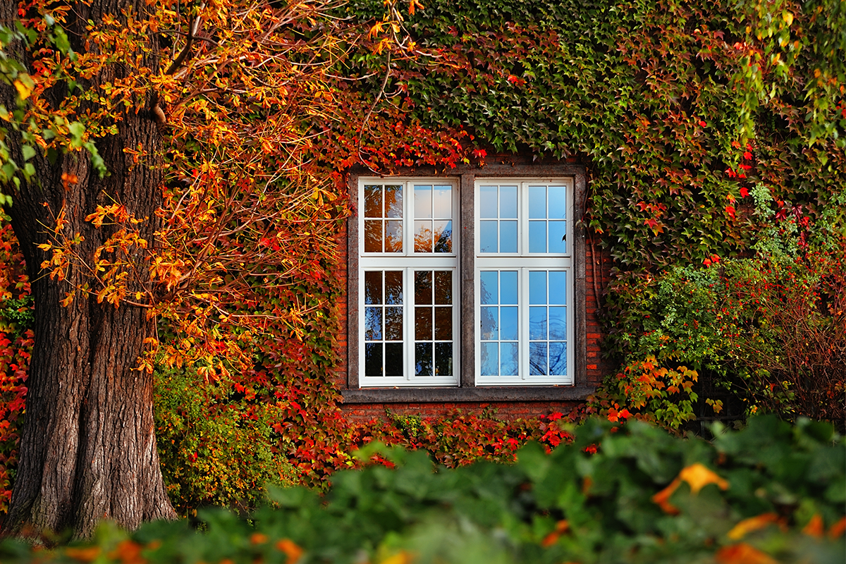Okna na styl, czyli jakie okna wybrać do wnętrza, w którym królują barwy jesieni