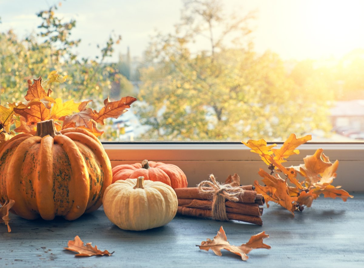 Laden Sie den Herbst in Ihr Haus ein, oder wie Sie die Fenster dekorieren